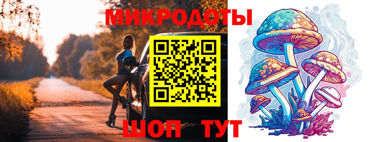 Псилоцибиновые грибы Psilocybine cubensis Коряжма